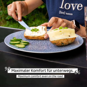 Μαγνητικά πιάτα φαγητού πορσελάνη μπλέ (Σετ των 2)