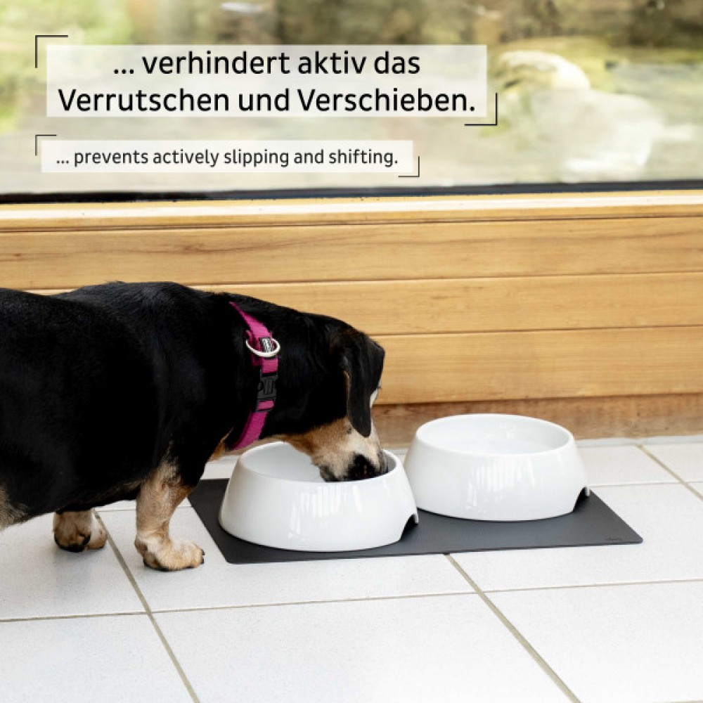 Μαγνητικό πορσελάνινο μπωλ για κατοικ΄ίδια (Σετ των 2)