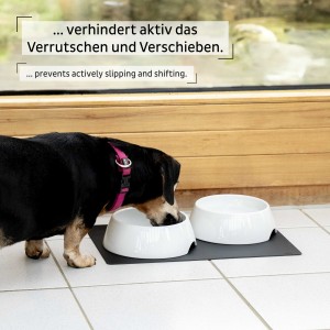 Μαγνητικό πορσελάνινο μπωλ για κατοικ΄ίδια (Σετ των 2)