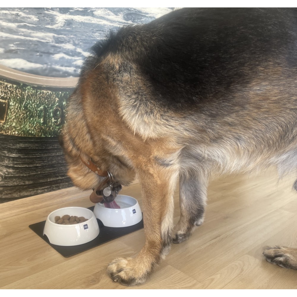 Μαγνητικό πορσελάνινο μπωλ για κατοικ΄ίδια (Σετ των 2)