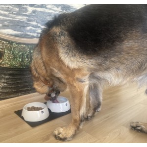 Μαγνητικό πορσελάνινο μπωλ για κατοικ΄ίδια (Σετ των 2)