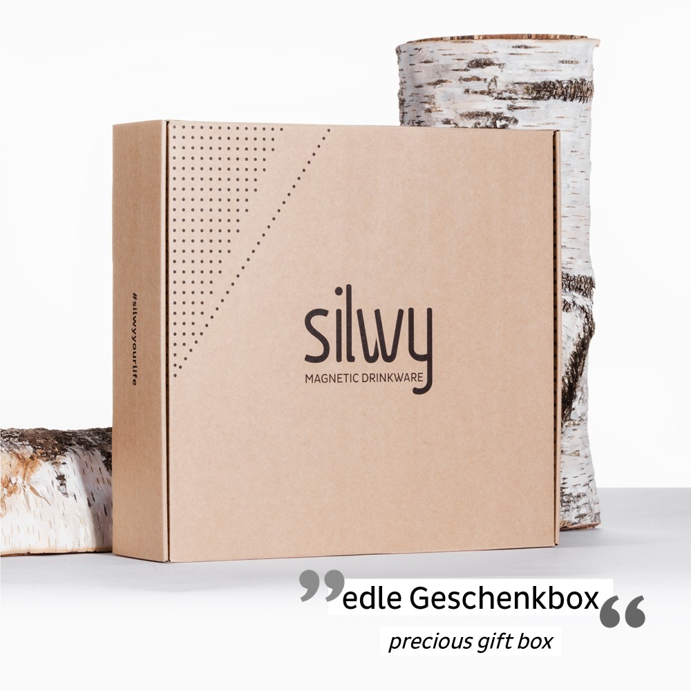 Σετ κουτί δώρου με Σαμπάνια και μαγνητικ΄ά κρυστάλλινα ποτήρια Σαμπάνιας SILWY Mαγνητικά σκεύη